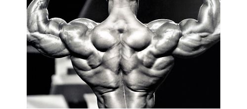 Best bulking and cutting steroids option at roidspro.com